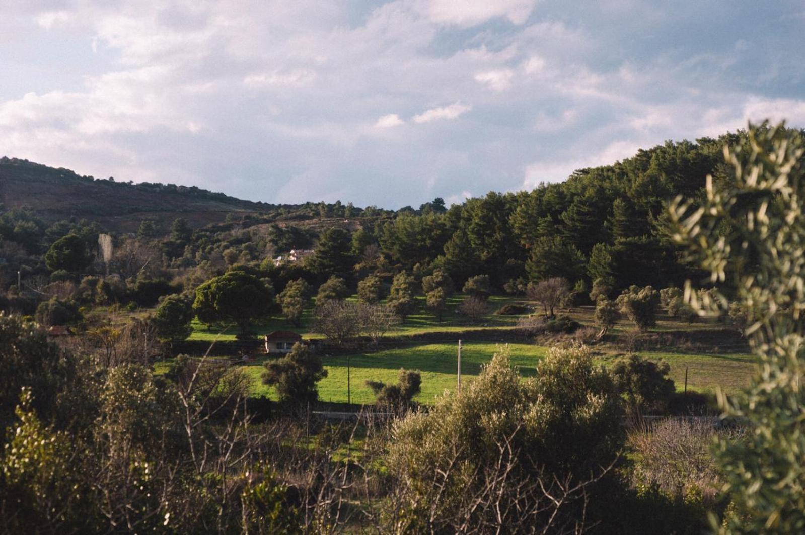 Od Urla Misafirhane Εξωτερικό φωτογραφία